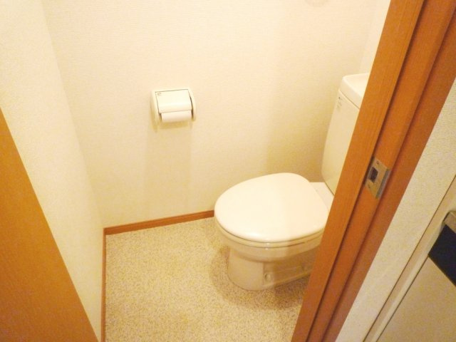 ハイツＡＩ＆Ｋｓのトイレ|別号室の参考写真です