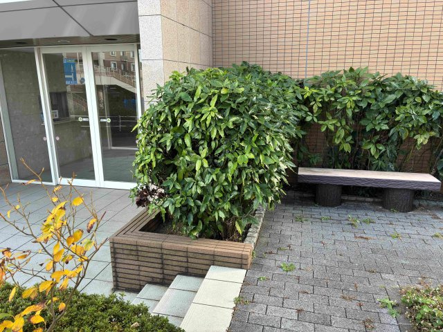 ルイシャトレ鷺沼ヒルトップコートの展望|陽光が降り注ぎ、気持ちの良い朝を迎えられます