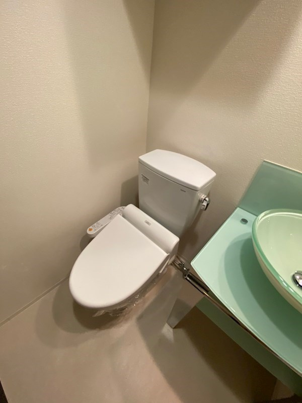 エステムコート難波サウスプレイスVエレージュのトイレ|落ち着いたトイレです