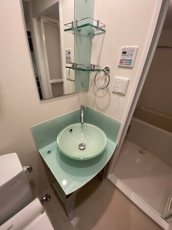 エステムコート難波サウスプレイスVエレージュの洗面所|脱衣スペースもあります