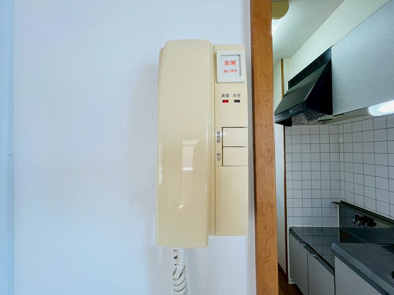 VINCENTE黒髪のセキュリティ