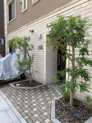 シンビオーシス本所のエントランス