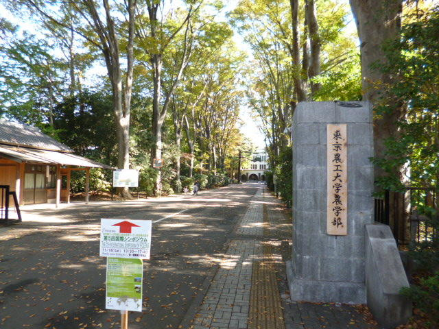 東京農工大学農学部まで160m