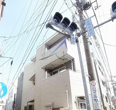 ラビット・イヤー・アイリスの外観|外観です。