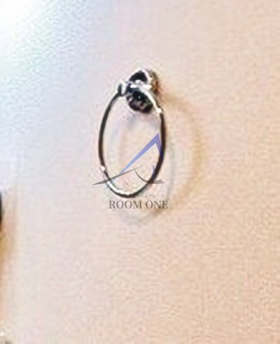 ラビット・イヤー・アイリス