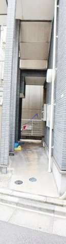 ラビット・イヤー・アイリス