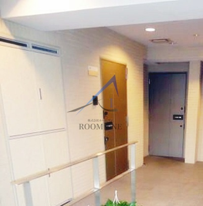 スカイパル・Ｙ