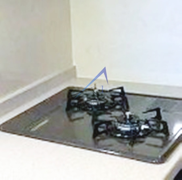 ＧＥＮＯＶＩＡ　Ｔｏｋｙｏ　Ｎｏｒｔｈ　ｇｒｅｅｎ　ｖｅｉｌ