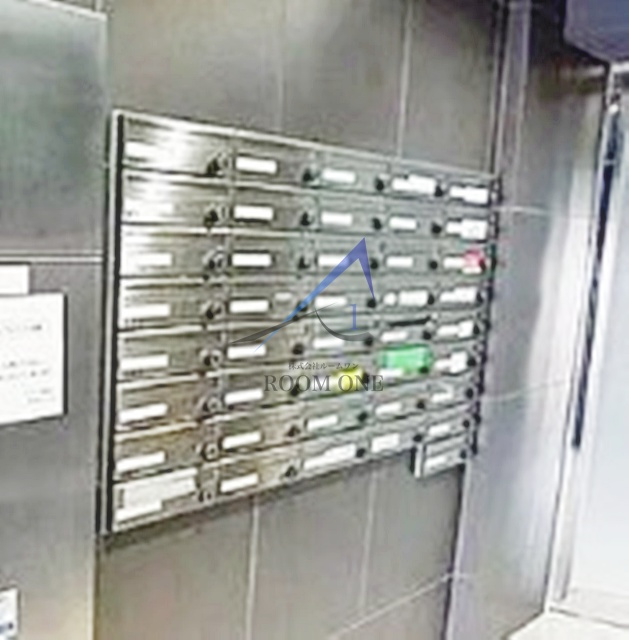 ＧＥＮＯＶＩＡ　Ｔｏｋｙｏ　Ｎｏｒｔｈ　ｇｒｅｅｎ　ｖｅｉｌ