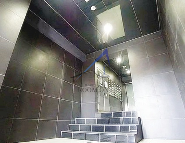 ＧＥＮＯＶＩＡ　Ｔｏｋｙｏ　Ｎｏｒｔｈ　ｇｒｅｅｎ　ｖｅｉｌ