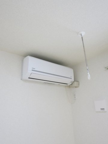 ラビスタリラのその他