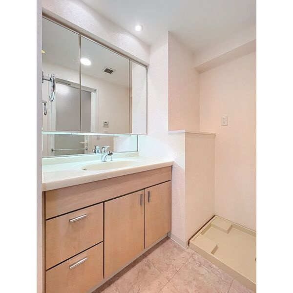 ファインフラッツ日本橋の洗面所