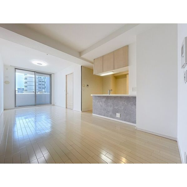 ファインフラッツ日本橋の居間・リビング