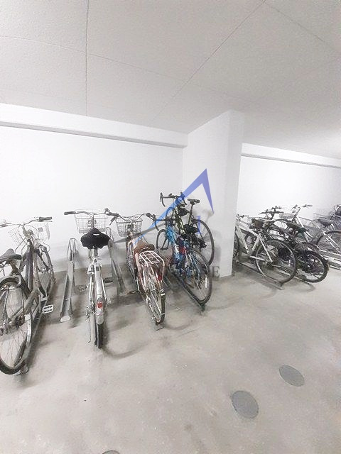 ステラフィッサ２４６５