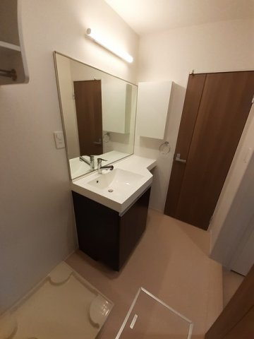 ロジュマン堀之内の洗面所