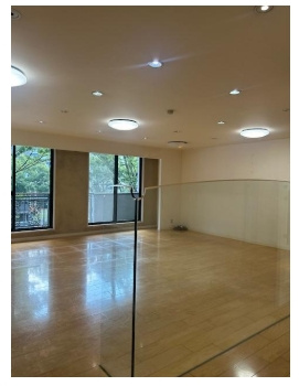 ミレニアム御池の内装