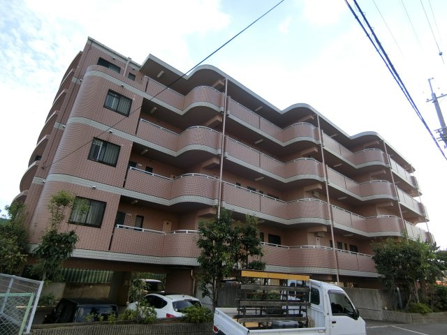 コスモドリーム