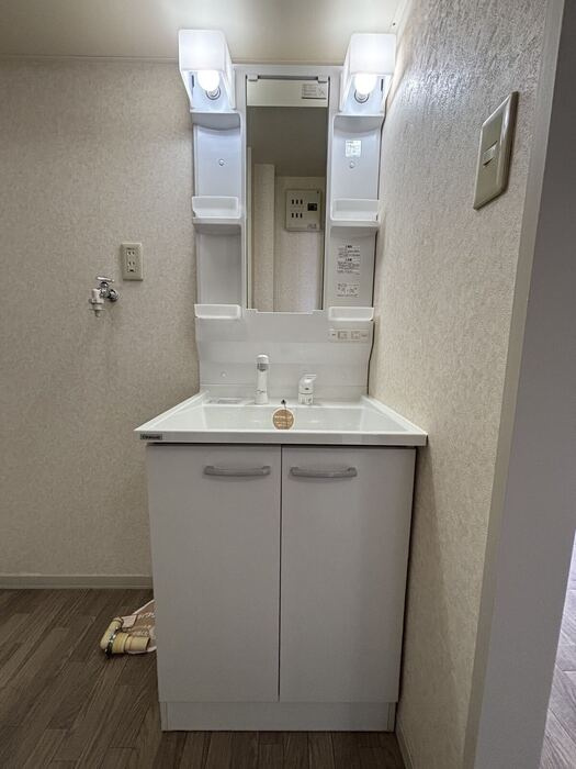 リッツハウス古川の洗面所