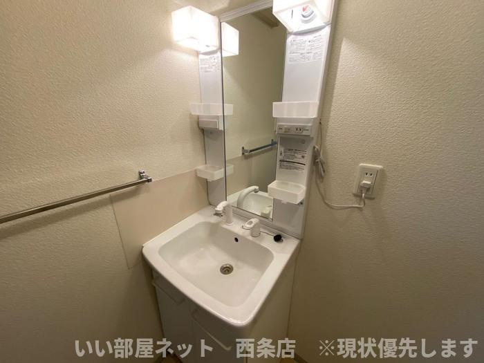 樋之口アヴェニューの洗面所