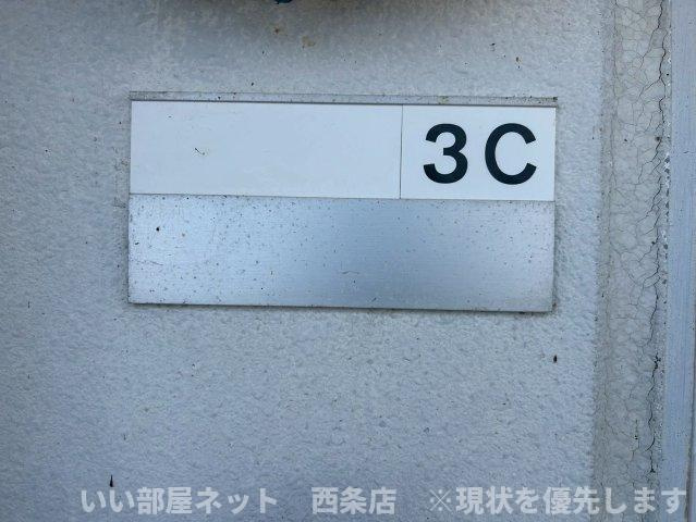 サンフローラルのその他