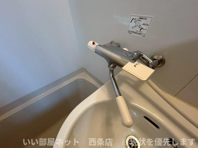 サンフローラルの洗面所