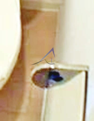 パレ・ホームズ常盤台