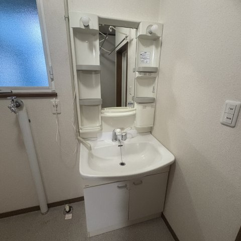 マンショングロットの洗面所