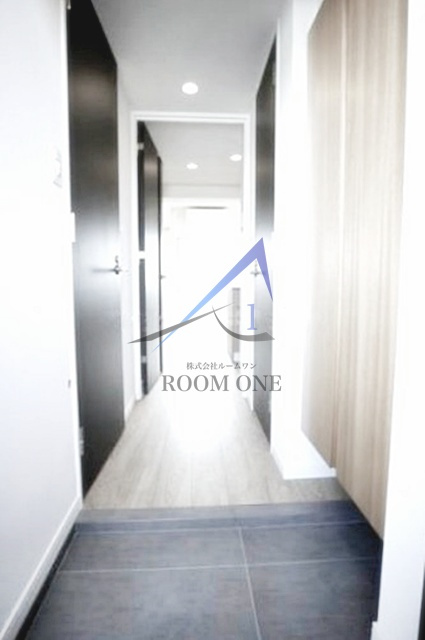 SYFORME　MINAMI-IKEBUKUROの玄関|玄関です。