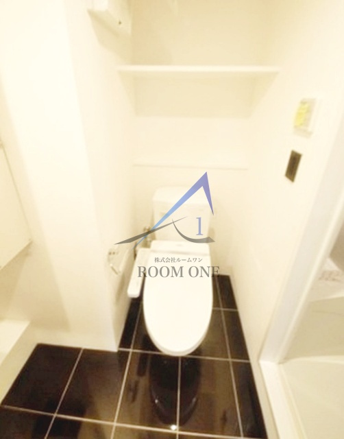 ＬＡＰＩＳ大井町Ⅱのトイレ|トイレです。