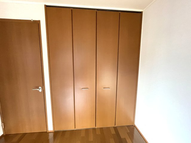 メゾンミレニアムの収納