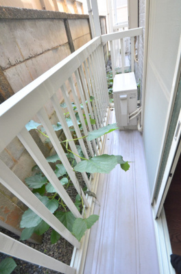 【バルコニー】 | シャトル熊野町Ⅱ