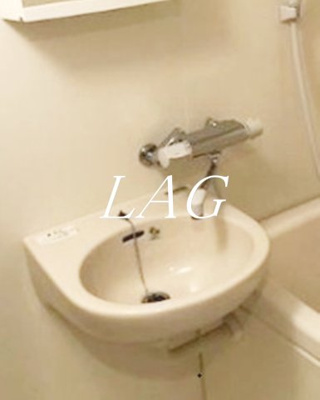 【洗面所】 | Felicity Kawasaki | 洗面台です。