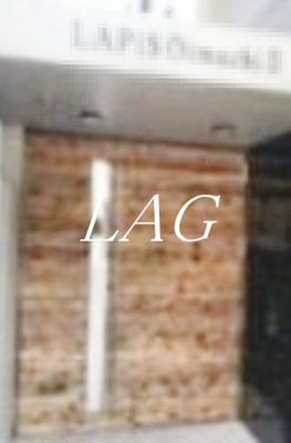 【エントランス】 | ＬＡＰＩＳ大井町Ⅱ | エントランスです。
