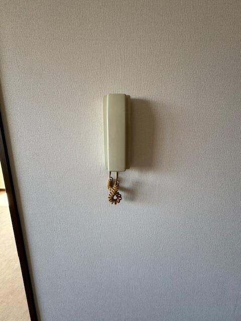 リラ・ピラミゼのセキュリティ