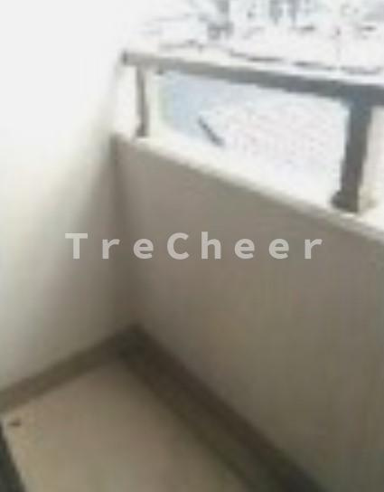 パラッツォアルディートのバルコニー