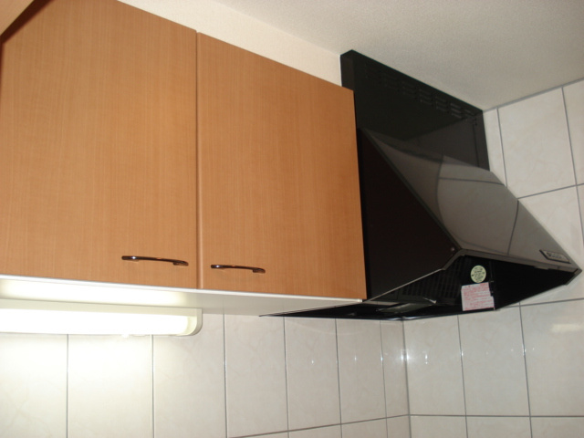 Ｊｅ　ｌｅ　ｐｒｅｎｄｓ　(ジュルプラン）の収納|キッチン収納