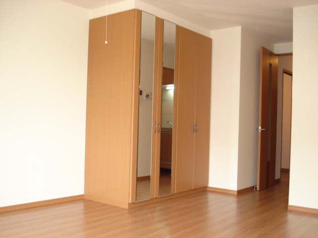 Ｊｅ　ｌｅ　ｐｒｅｎｄｓ　(ジュルプラン）の居間・リビング|洋室収納