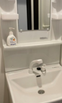 Bonheur亀戸の洗面所