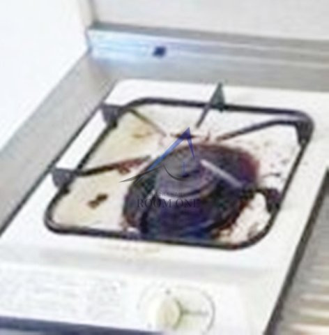 メゾン・ド・ボナールのその他