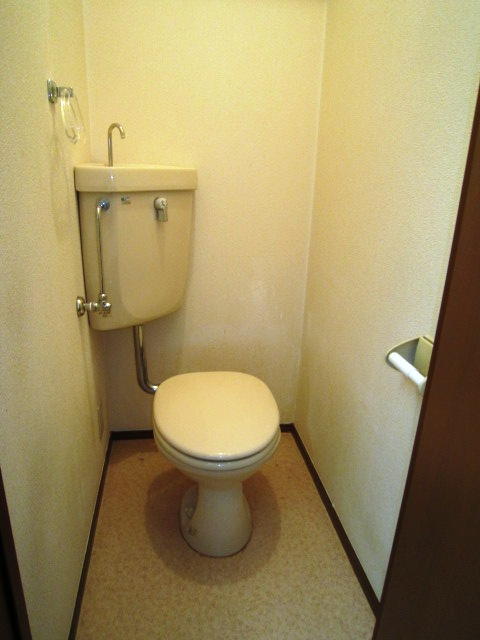 ドミールTのトイレ