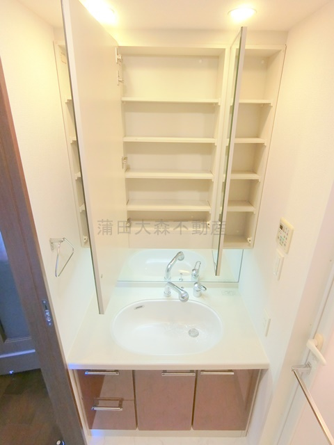 ブラウトリエの洗面所|洗面脱衣所　独立洗面台