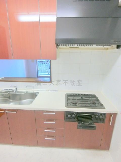 ブラウトリエのキッチン|3口ガスコンログリル付きのカウンター式システムキッチン