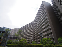 ブラウトリエの画像