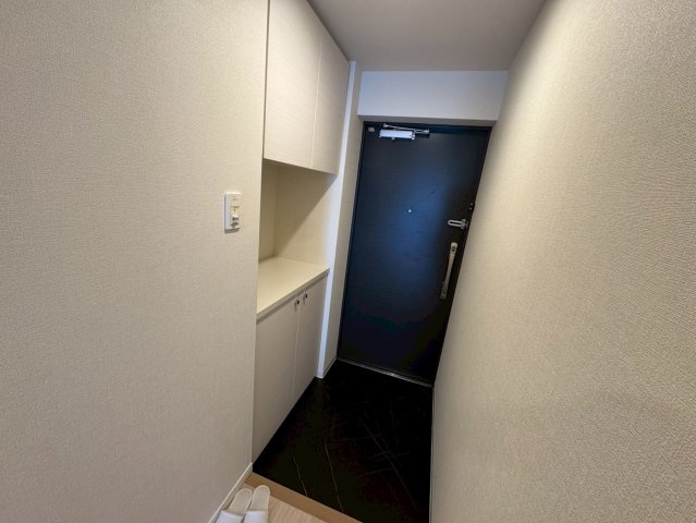 ファイブレジデンス西緑丘の玄関