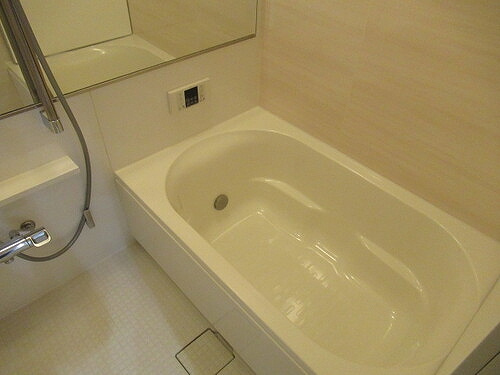 ナイスアーバン武蔵浦和の浴室|バス（浴室）