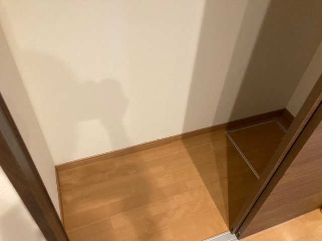 SMILEAX西新ａｘｉｓの収納|ちょっとした収納スペースも充実しています