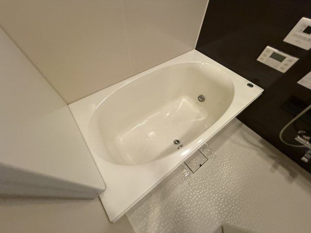 ザ・パークハウス豊中の浴室