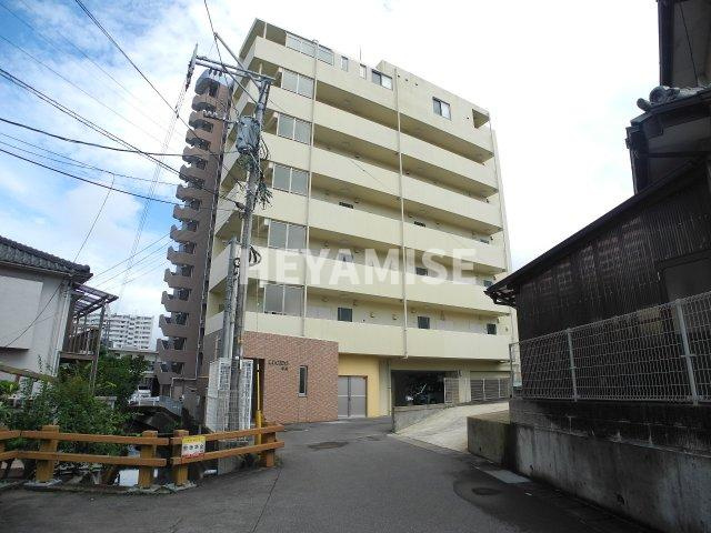 ルーシッド中央