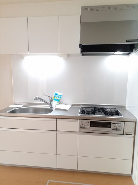 シオンⅡＢのキッチン|キッチンでお料理をお楽しみください