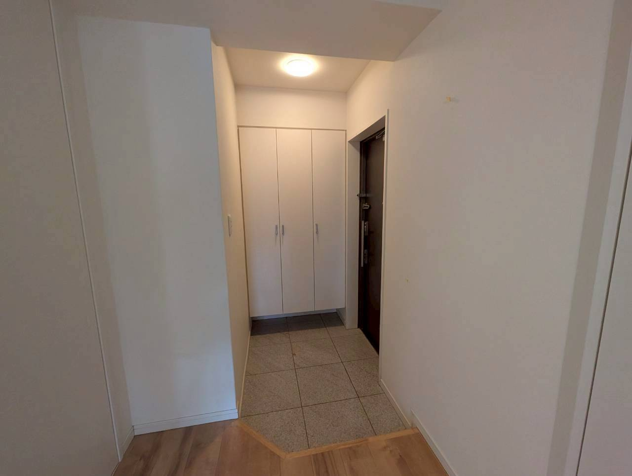 豊中市向丘２丁目の賃貸マンションの玄関